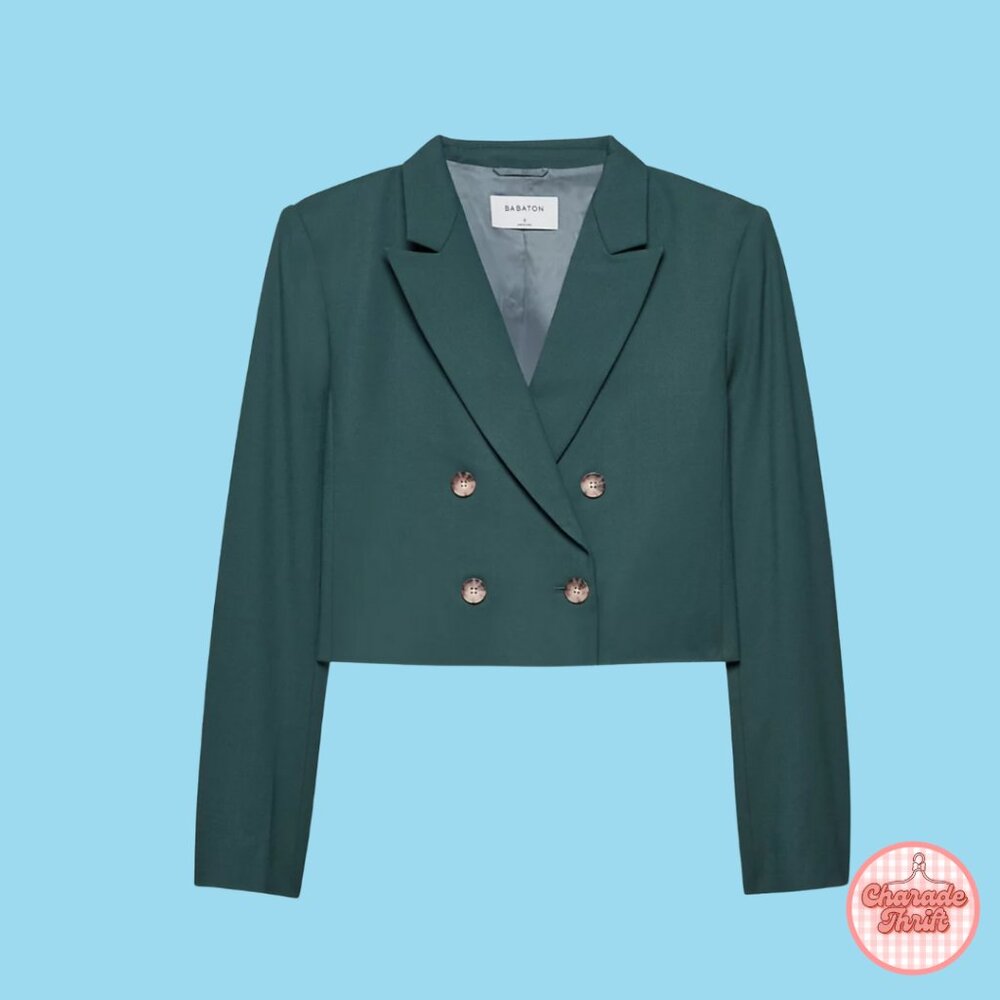 Aritzia x Babaton "Lalonde" Blazer